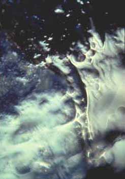 Cape Cod Wave