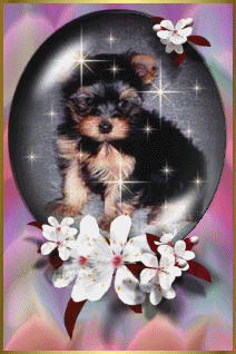 chinagirl1.gif (61714 bytes)