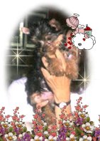 cleo3.JPG (10403 bytes)