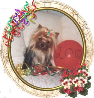 jasmine5.jpg (26742 bytes)