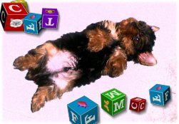 lilbit.jpg (14044 bytes)