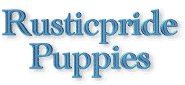 puppybanner.gif (56719 bytes)