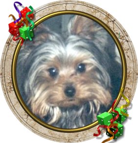 rusty2.JPG (25258 bytes)