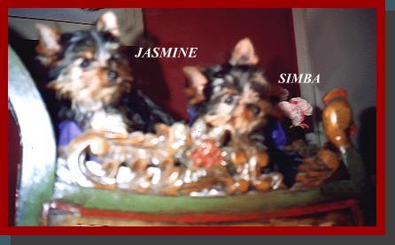 tangosimb.jpg (20664 bytes)