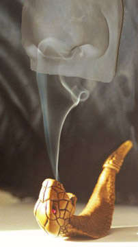 COBRA AROMATHERAPY
