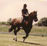 Sarah Southwind