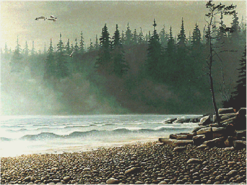 RocksorL.gif (122127 bytes)