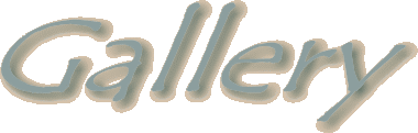 Gallery.gif (10175 bytes)