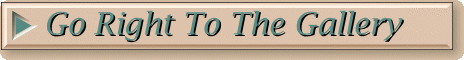 Go right to the gallery.gif (11861 bytes)