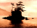 IslandSA.jpg (10759 bytes)