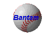 Bantam