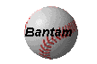 Bantam
