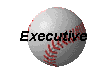 Executive