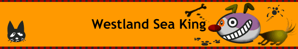 Westland Sea King