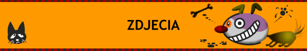 ZDJECIA