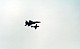 F-22 Raptor - Spitfire.jpg